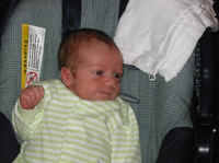102-0228_IMG.jpg (36539 bytes)